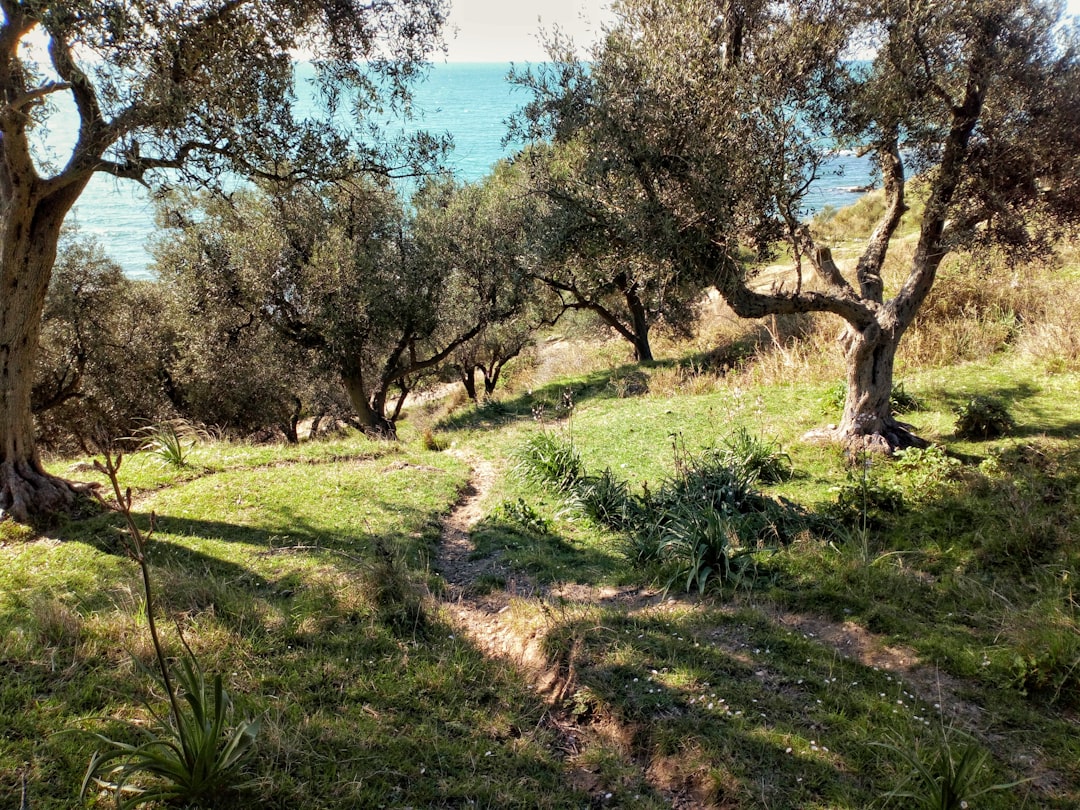 Luxury Retreats